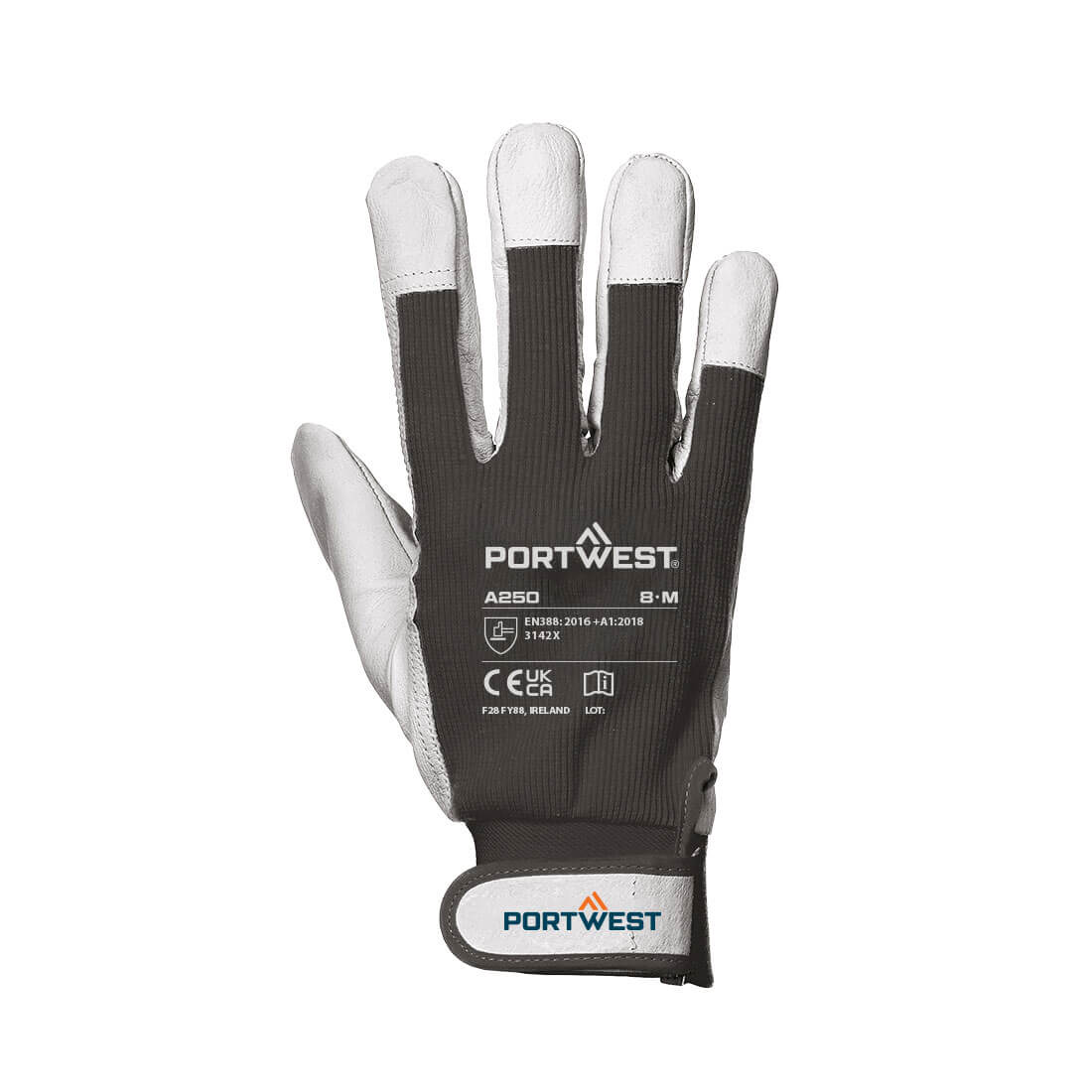 Tergsus Handschuh 2