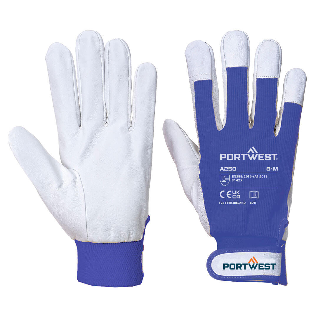 Tergsus Handschuh 3