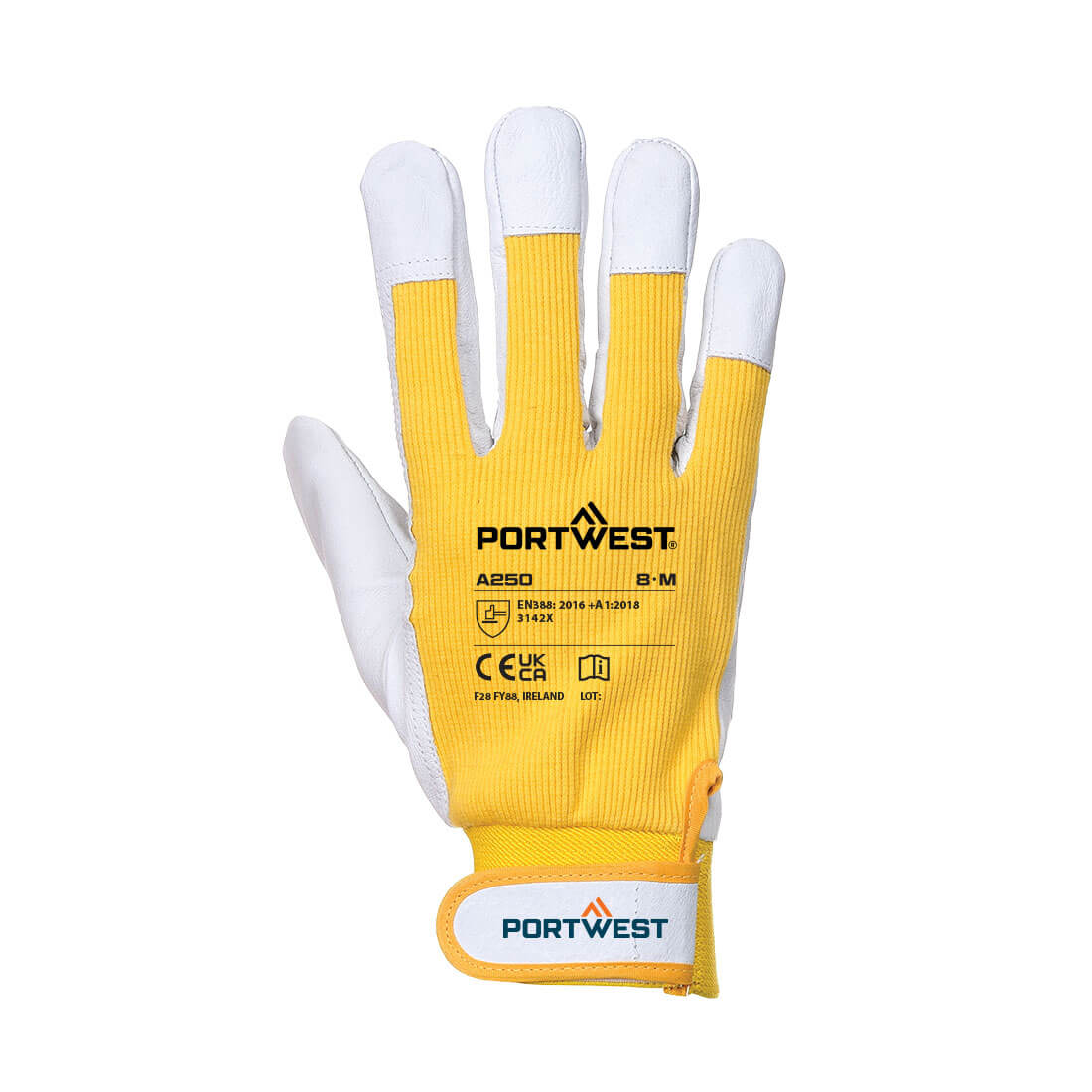 Tergsus Handschuh 8